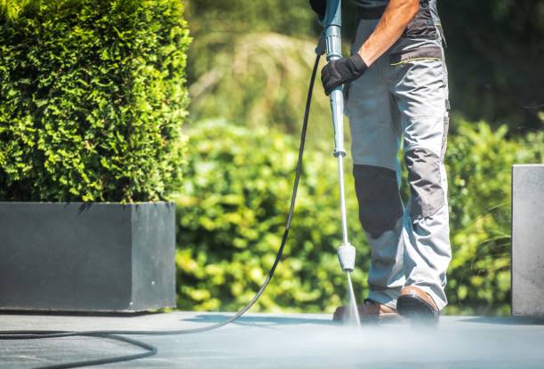 Best Warehouse Cleaning  in Ellisville, MS