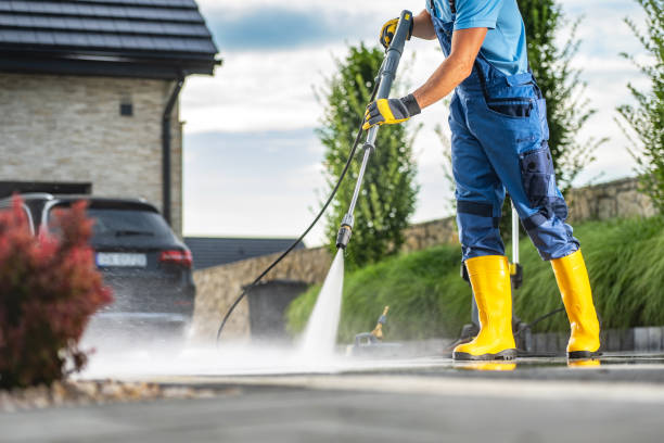 Best Roof Washing  in Ellisville, MS